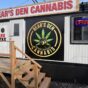 The Medicine Box vs Bear’s Den Cannabis: An Honest Comparison