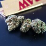 Three cannabis buds next to a RAW rolling papers booklet on a dark surface