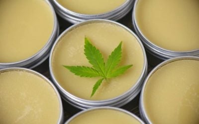7 Best CBD Topicals For Pain 2022