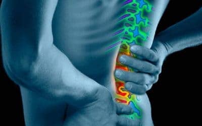 5 Top Marijuana Strains for Back Pain