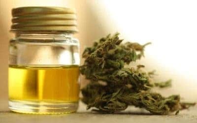 Best CBD Products On The Market