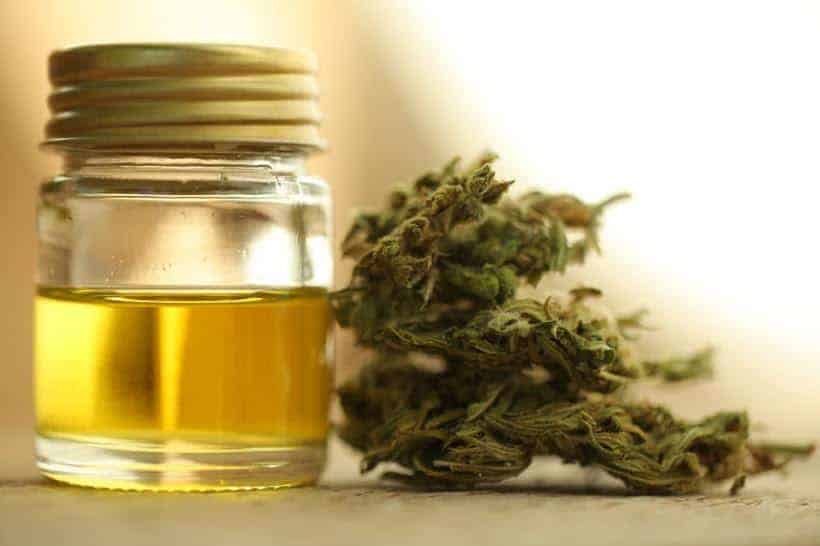 Best CBD Products Gold Bee
