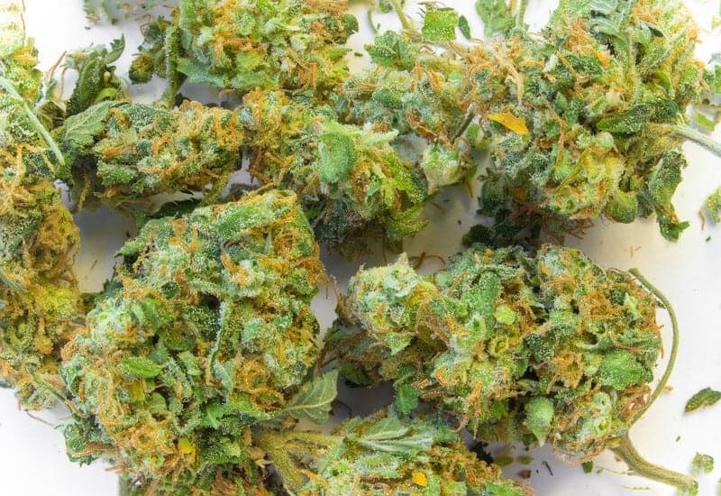 cannabis buds isolated on white, best Jamaican marijuana