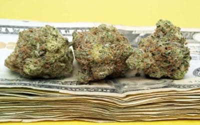 Best Things To Consider Before The Sale Of Your Cannabis Business