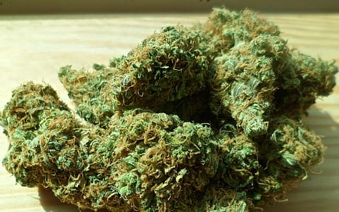 cannabis buds on wood table, gorilla strain bible