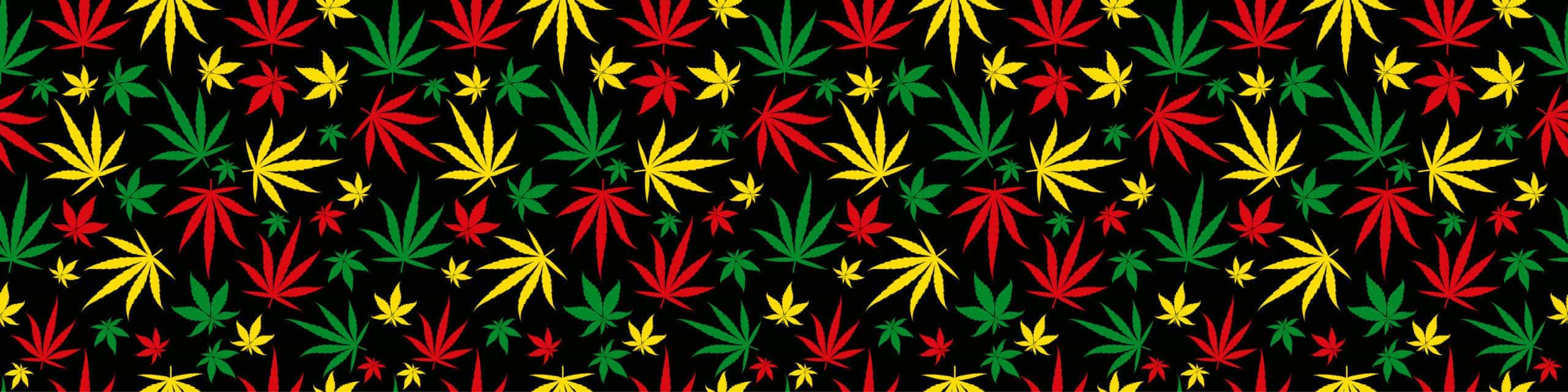 Rasta rectangular banner pattern seamless background. Reggae jamaican ornament. Marijuana leaf. Rastafarian cannabis hemp. Jamaican strain