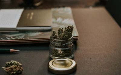 Marijuana Strains With The Highest THC
