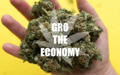 Top Marijuana Strains That Affected The Industry