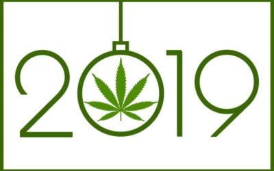Top 2019 Challenges In The Marijuana Industry
