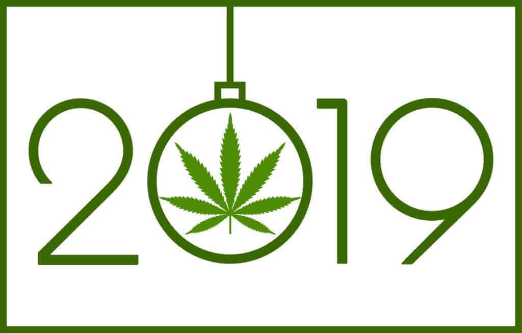 banner with 2019 and marijuana leaf, top 2019 challenges in the marijuana industry