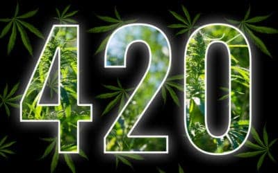 Top 420 Myths