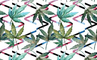 Top Cannabis Activities in Colorado