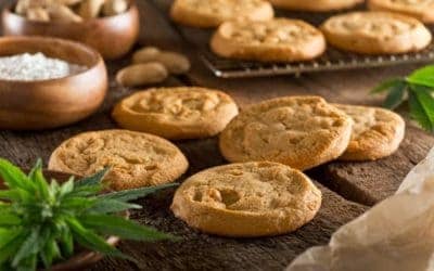 Top Cannabis Business Ventures To Start From Your Kitchen Table