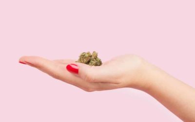 Top Cannabis Crushes For 2017