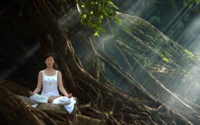 Top Cannabis Strains To Use When Meditating