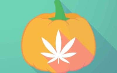 Top Halloween Activities for Cannabis Fans