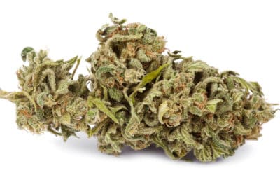 Top 5 Marijuana Strains To Reduce Stress