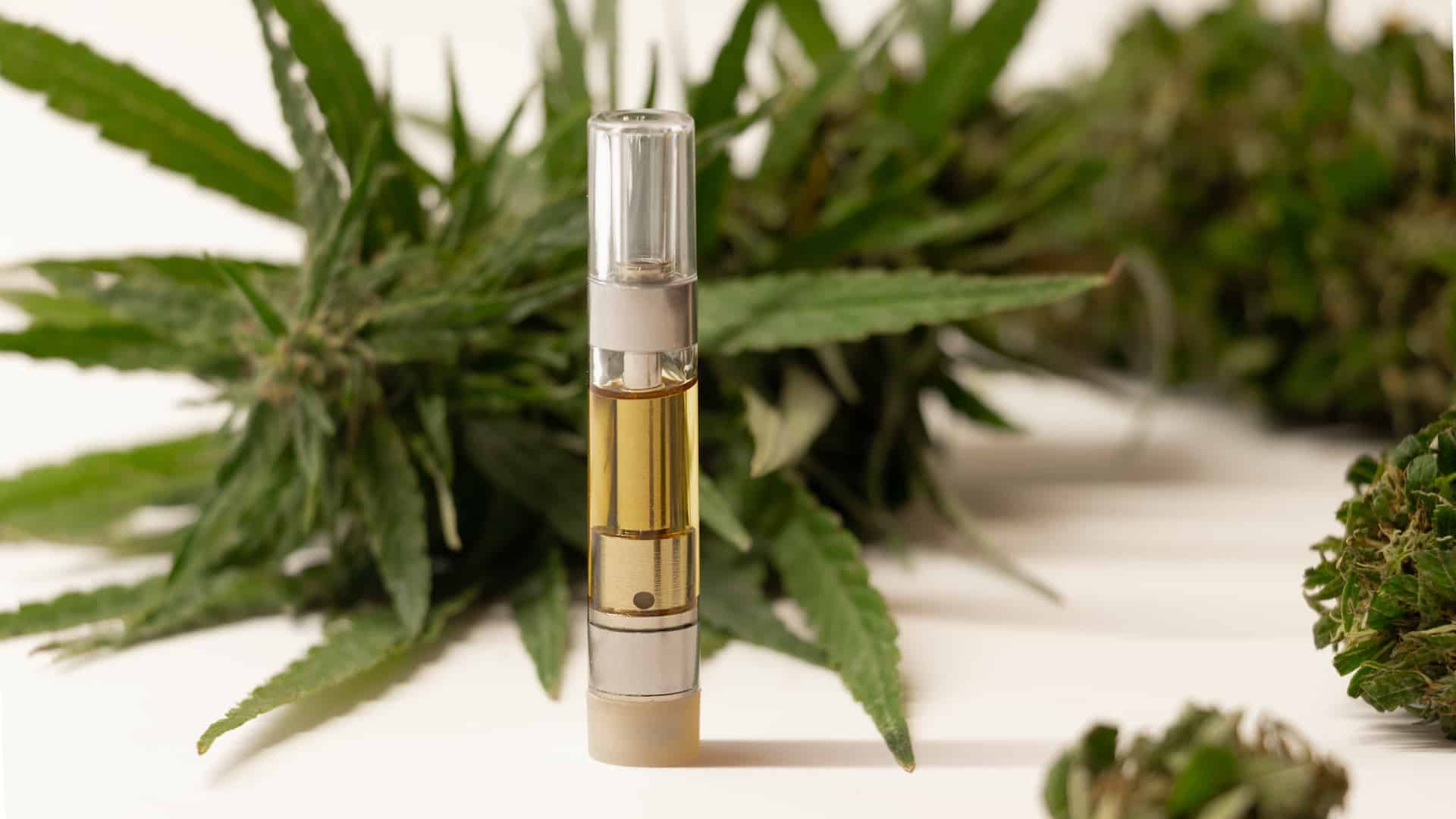 Vape cartridge filled with fluid in front of large hemp flower bud, top thc cartridges to buy
