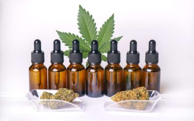 Top Things You Might Not Know About Marijuana Tinctures