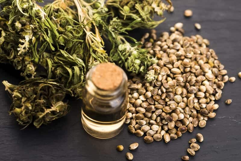 cannabis flower, seeds and oil, benefits of cannabis use