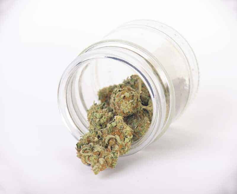 cannabis buds in glass jar isolated on white, white 99 strain