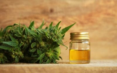 Top Benefits Of Cannabis Oil