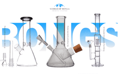 Best Place to Buy Bongs Online