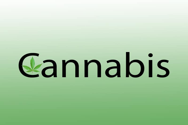 cannabis in black on green background, cannabis brands