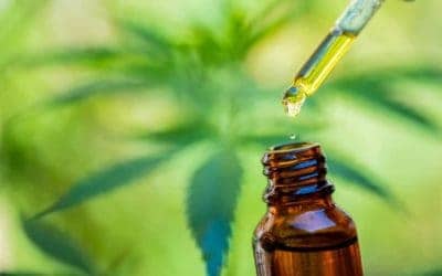 #1 Supreme Guide to Best CBD Oil for Anxiety