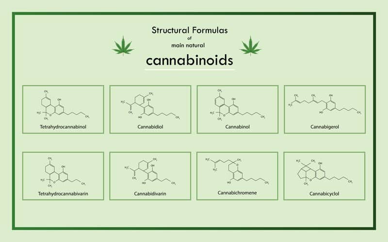 chart of different cannabinoids, cbn and cbd for sleep