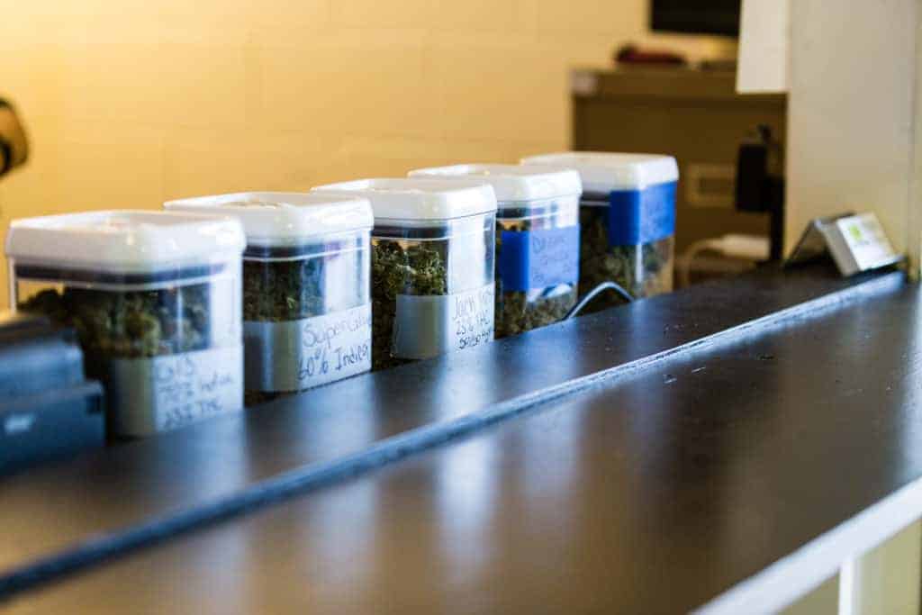 how to become a budtender in a dispensary