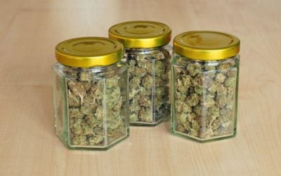 Best Marijuana Jars for Storing Weed