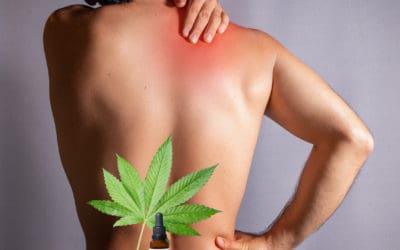 Top Marijuana Strains to Combat Pain