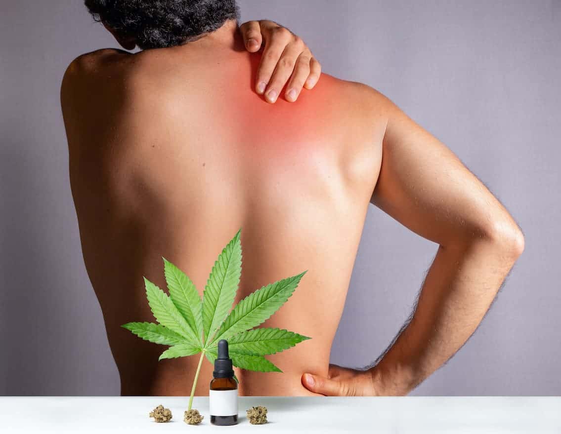 man holding his back in pain, marijuana strains to combat pain