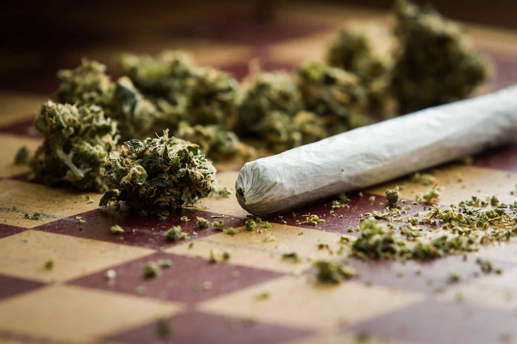 marijuana joint closeup, recreational cannabis pros and cons