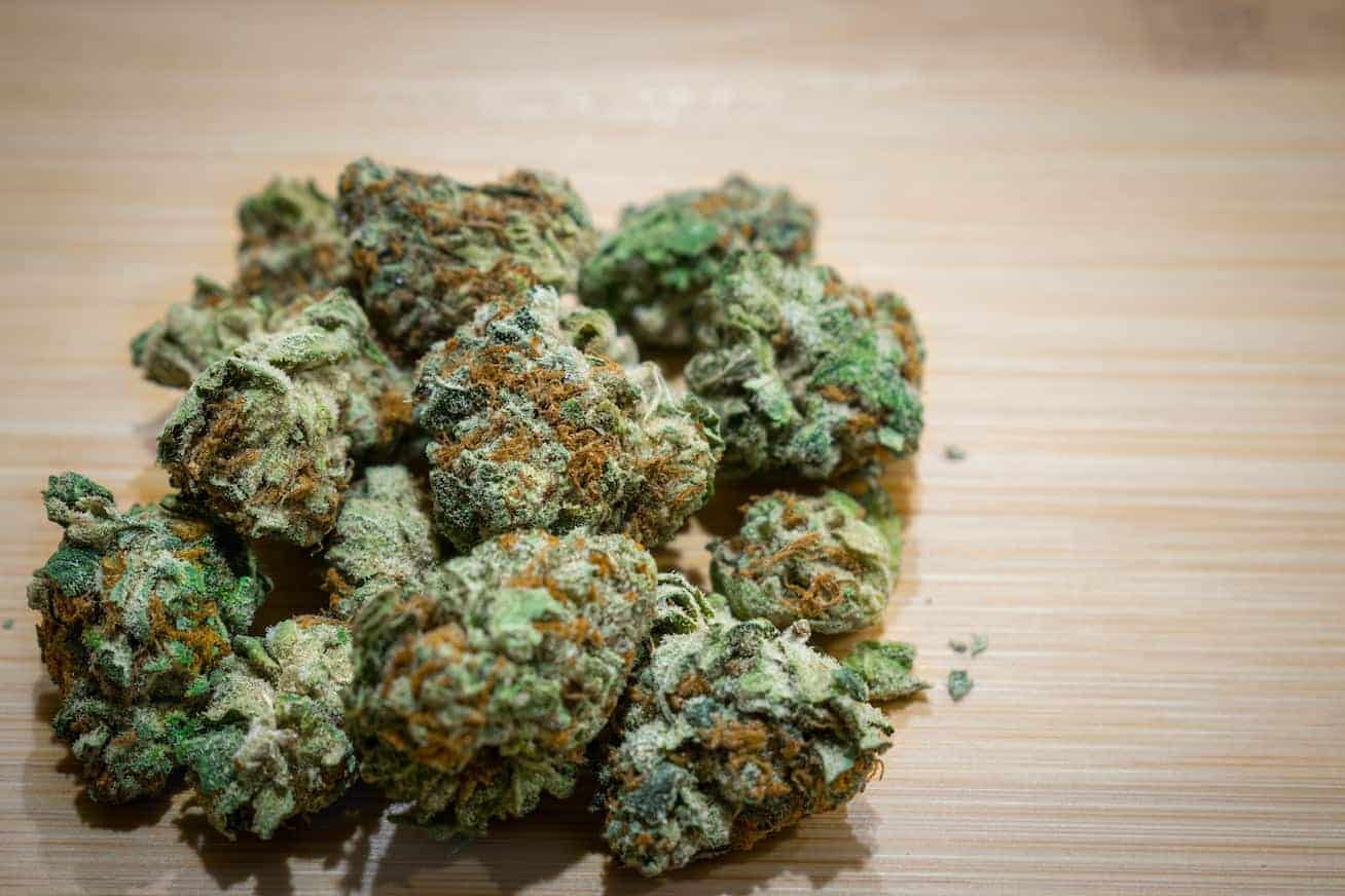 macro of cannabis buds, sherblato strain