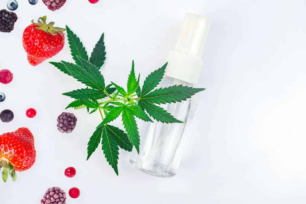 marijuana leaves with berries isolated on white, water-soluble cbd