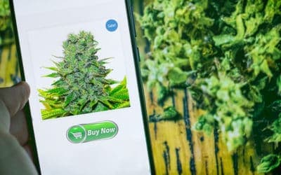 Top 6 Reasons to Use a Weed Delivery Service