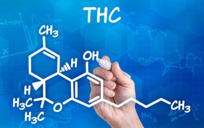 What is THC? And Its Impact on the Human Body?
