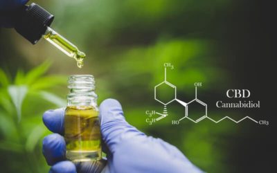 What Plant is CBD Extracted From? The Manufacturing Process and Techniques