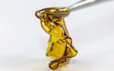 The World of Concentrates: Everything You Need to Know
